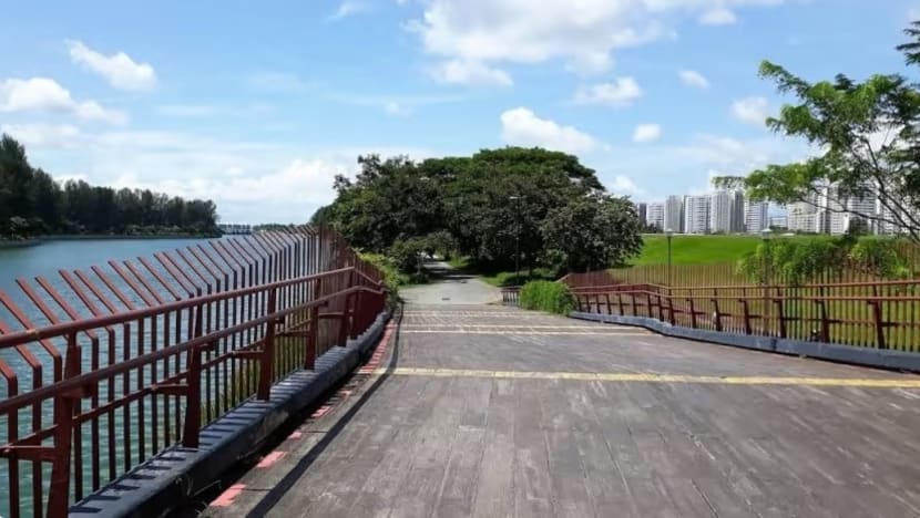 Kawasan sepanjang Punggol Promenade Nature Walk dihadang;  penunggang basikal cedera disondol babi hutan