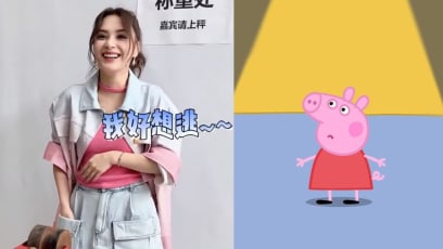 Gillian Chung Likened To Peppa Pig After Wearing Unflattering Pink Top