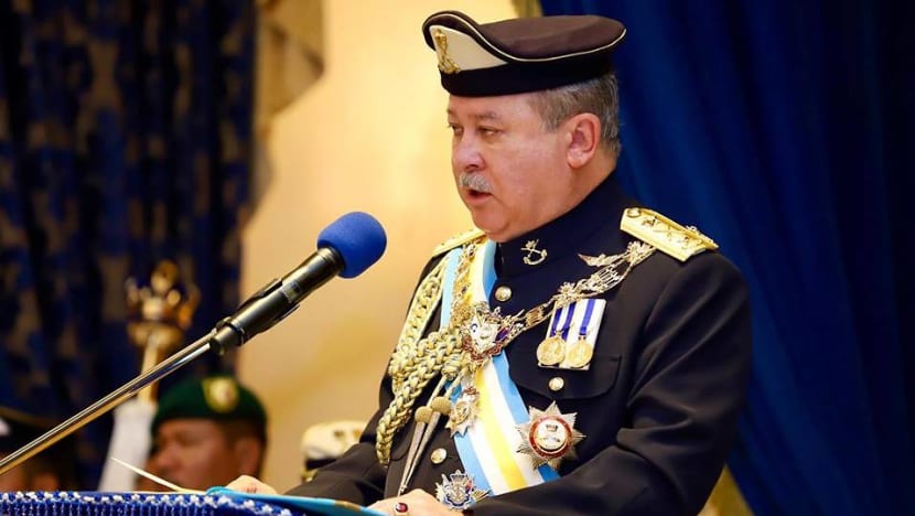 Johor Sultan proposes revival of state volunteer forces, basic military training for civil servants