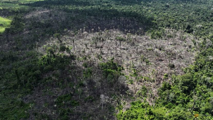 Humanity deep in the danger zone of planetary boundaries: Study Humanity deep in the danger zone of planetary boundaries: Study