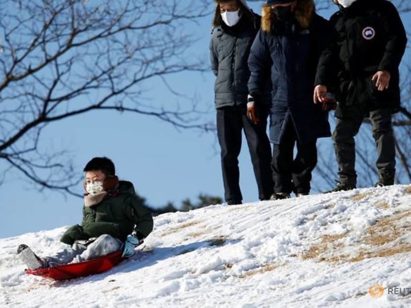 Can't go to ski resort? South Koreans rush to buy sledges, enjoy sledding near home Can't go to ski resort? South Koreans rush to buy sledges, enjoy sledding near home
