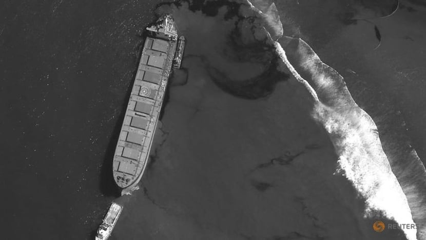 Grounded Mauritius ship operator apologises for oil leak Grounded Mauritius ship operator apologises for oil leak