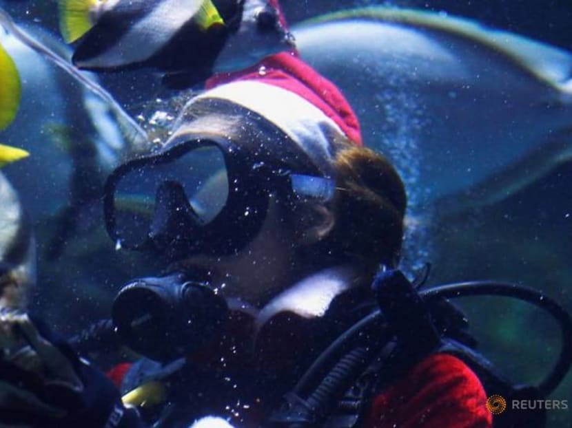 Happy Fishmas - Thai aquarium gets surprise Santa visit Happy Fishmas - Thai aquarium gets surprise Santa visit