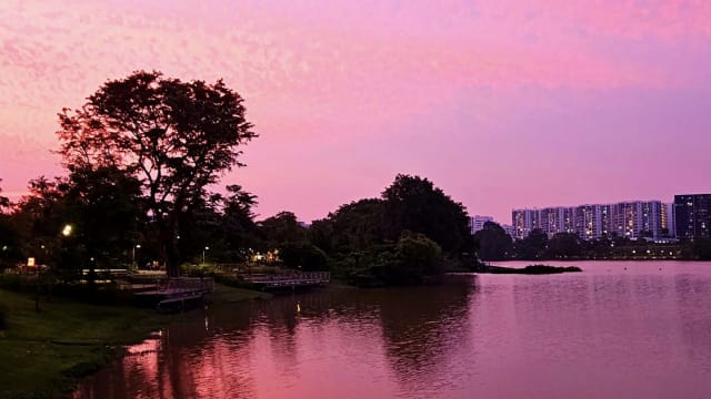 粉红色夕阳余辉覆盖全岛 网民：大自然如此美丽