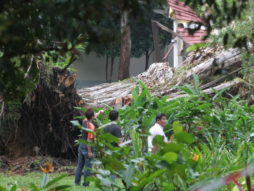 Men trapped after tree falls at Alexandra Hospital