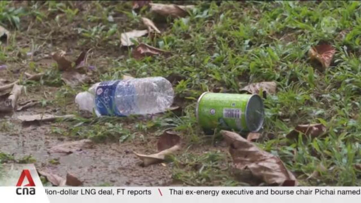 Rallying the private sector to help keep Singapore clean - Vimarsana News