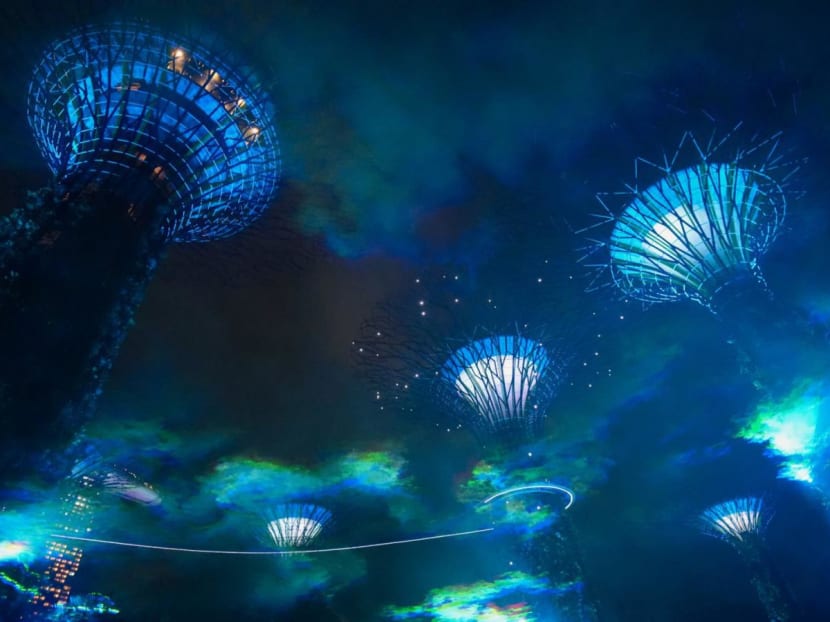 Borealis at Gardens by the Bay: Witness the 'Northern Lights' at this free installation
