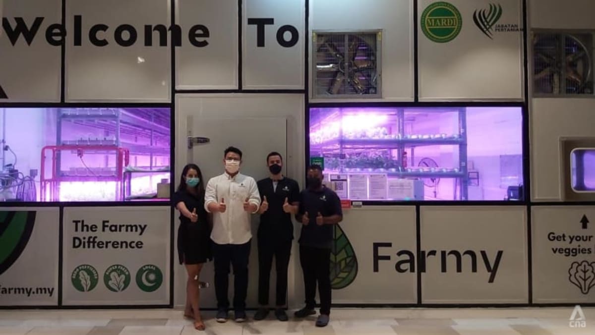 Perusahaan Malaysia yang menanam sayuran di pusat perbelanjaan ini ingin merombak rantai pasokan makanan