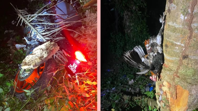 2 beranak maut selepas terlanggar ayam hutan di Kota Tinggi