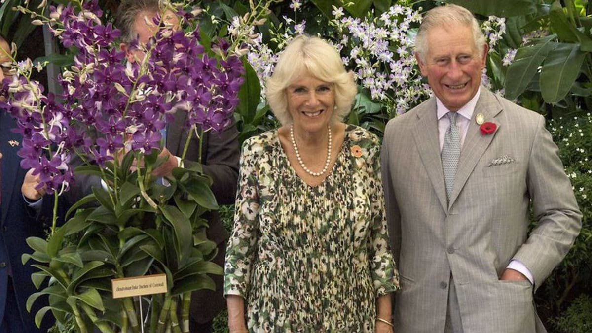 Komentar: Anggrek Pangeran Charles dan seni pemberian hadiah diplomatik