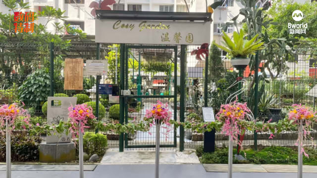 体验可持续发展生活 武吉巴督社区花园被打造成绿化创新园