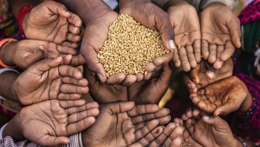 Harga makanan naik mendadak; kemiskinan bertambah teruk Harga makanan naik mendadak; kemiskinan bertambah teruk