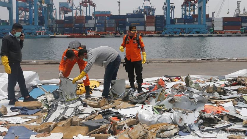 Indonesia's transport ministry orders removal of Lion Air technical director after deadly crash Indonesia's transport ministry orders removal of Lion Air technical director after deadly crash