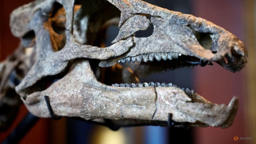 Small dinosaur fit for the living room to be sold at Paris auction Small dinosaur fit for the living room to be sold at Paris auction