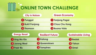 CNA Green Plan - S1: Online Challenge: 15 towns battle it out 