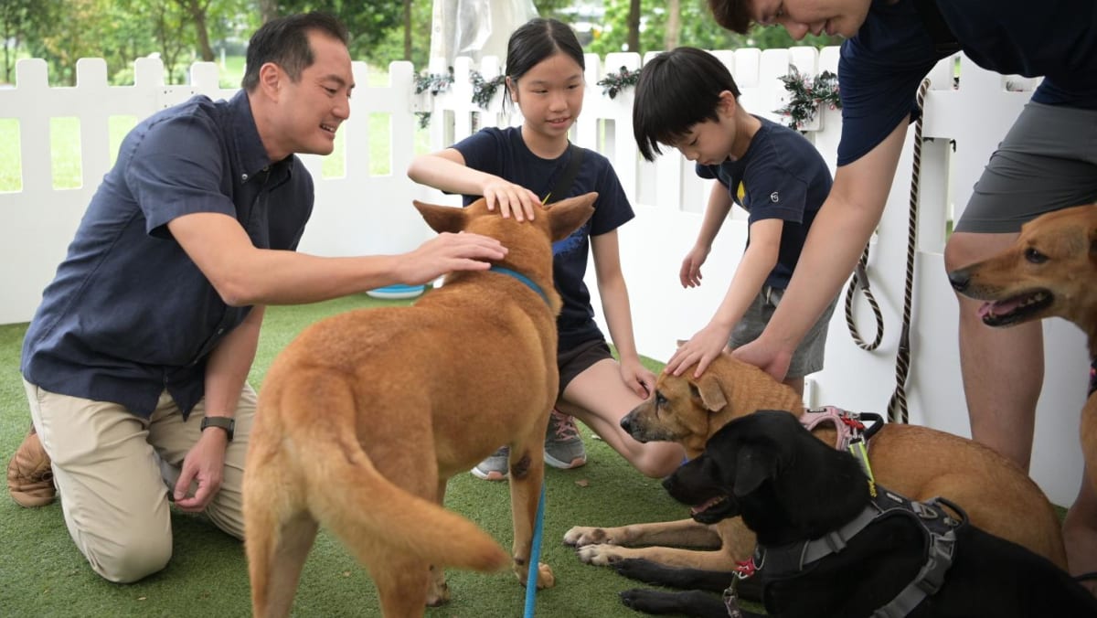 Singapura meluncurkan skema akreditasi pelatih anjing baru
