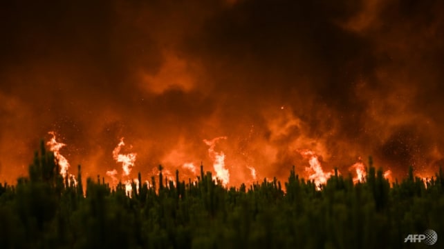 Climate change driving unprecedented forest fire loss