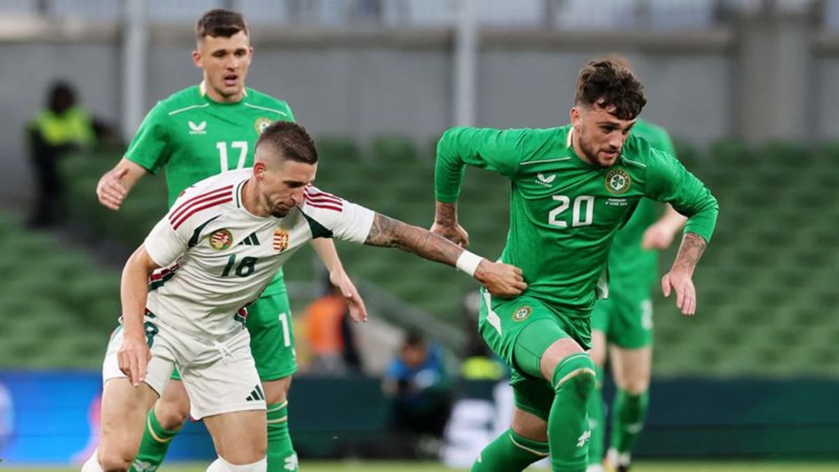 Hungary manager disappointed as late loss to Ireland ends unbeaten run Hungary manager disappointed as late loss to Ireland ends unbeaten run