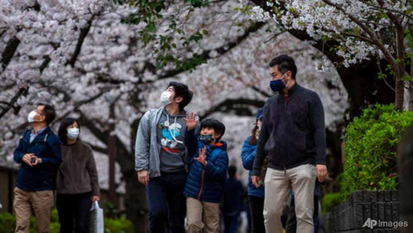 Japan's famous cherry blossoms bloom early as climate warms