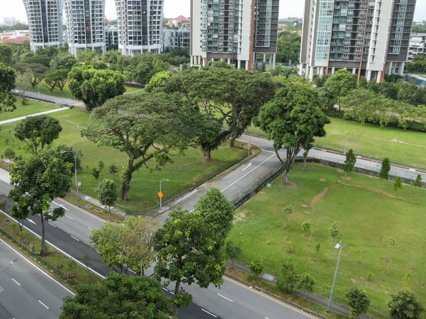 To meet the strong demand for public housing, the Housing and Development Board said that it is building flats on a plot of land along Alexandra Road (pictured).