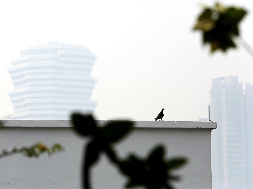 #SGHaze trends on social media as air pollution readings hit 'high' #SGHaze trends on social media as air pollution readings hit 'high'