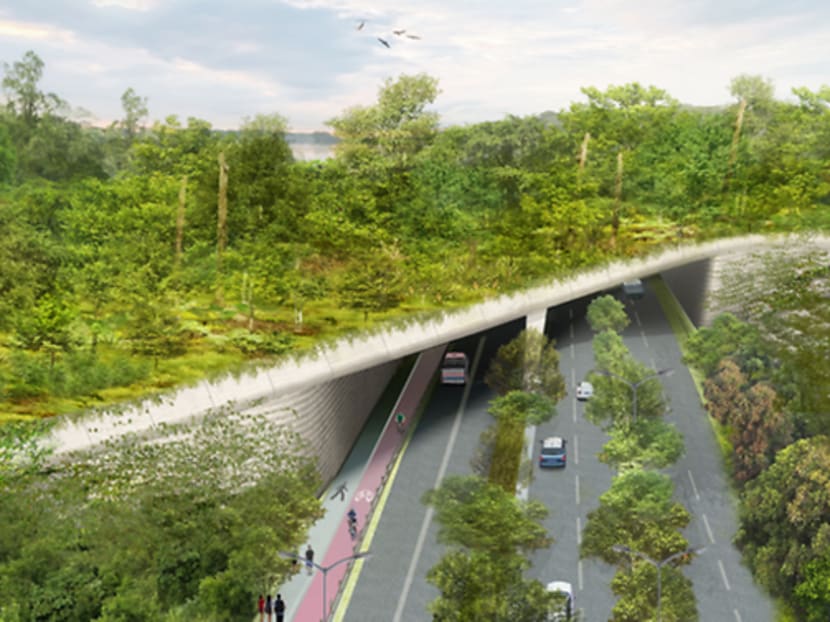 Eco-bridge at Mandai to be ready by 2019
