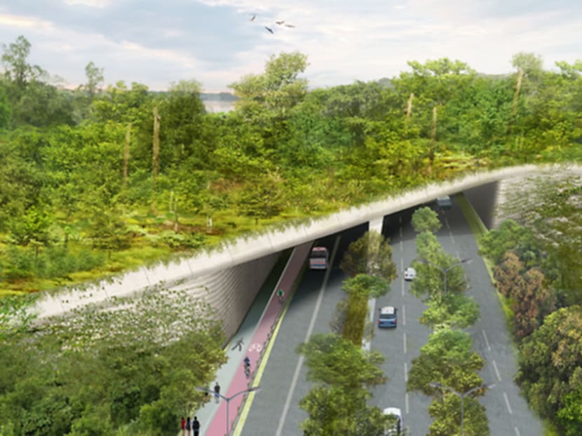 Artist's impression of the Mandai Eco-Link. Photo: Mandai Park Holdings
