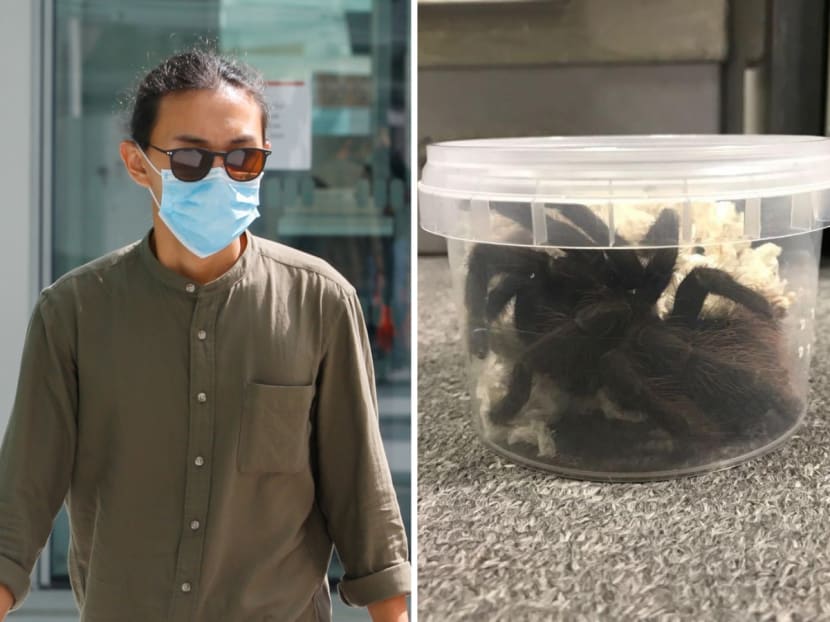 Aside from ordering 23 tarantulas from the US, further investigations revealed that Herman Foo Yong He was keeping another 20 tarantulas in his flat, located along Bedok North Avenue 1.