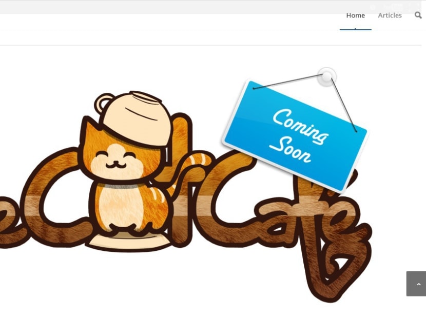 Screenshot of The Cat Cafe website.