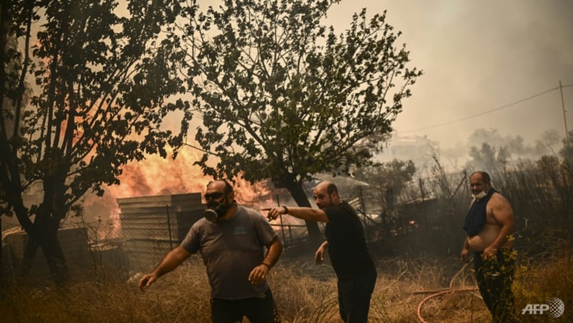 Greek firefighters battle major blazes on multiple fronts