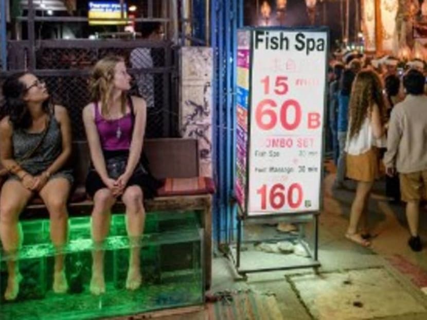 What you need to know about fish spas – and who should avoid them