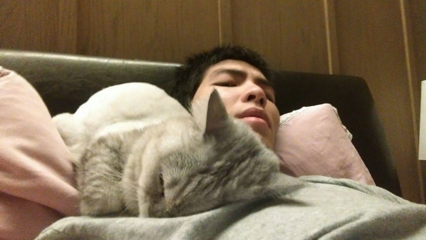 Jam Hsiao heartbroken by pet cat’s death