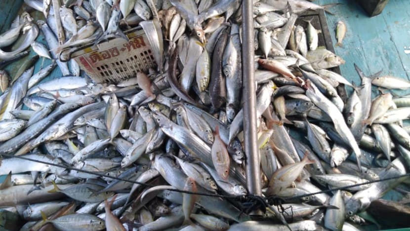 As movement curbs persist, Malaysian fishermen and farmers grapple with lower demand and logistics issues As movement curbs persist, Malaysian fishermen and farmers grapple with lower demand and logistics issues