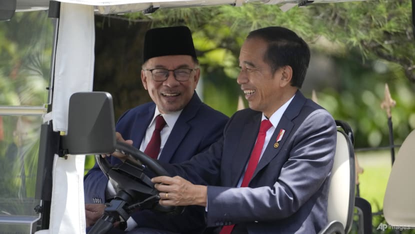 New Indonesia capital will benefit Borneo states: Malaysia PM Anwar during first overseas official visit New Indonesia capital will benefit Borneo states: Malaysia PM Anwar during first overseas official visit