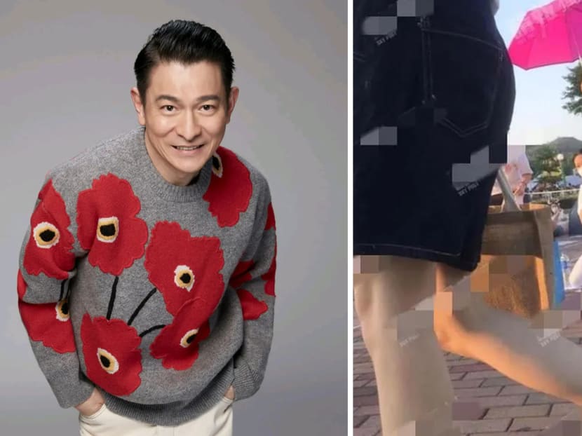 Andy Lau’s Wife Used Sheets Of Paper To Chope Spot To Catch Fireworks With Daughter At HK Disneyland 