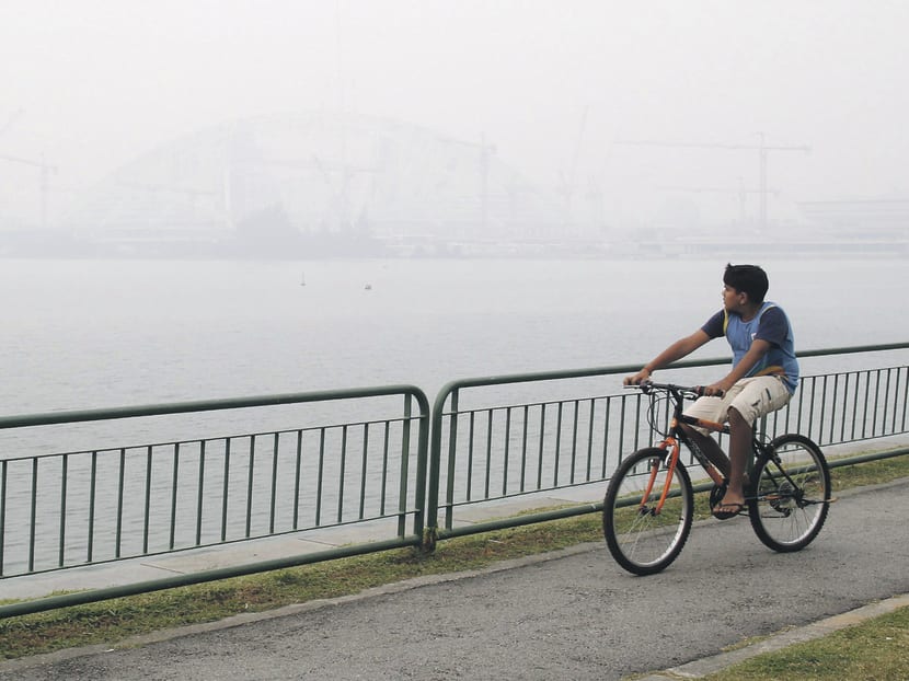 The Bill proposes a maximum fine of S$2 million for causing haze here. Today File Photo