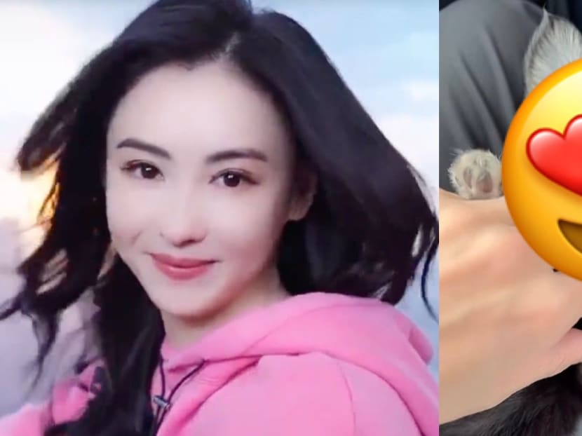 Cecilia Cheung, 42, Has A New Kid And She’s So Cute