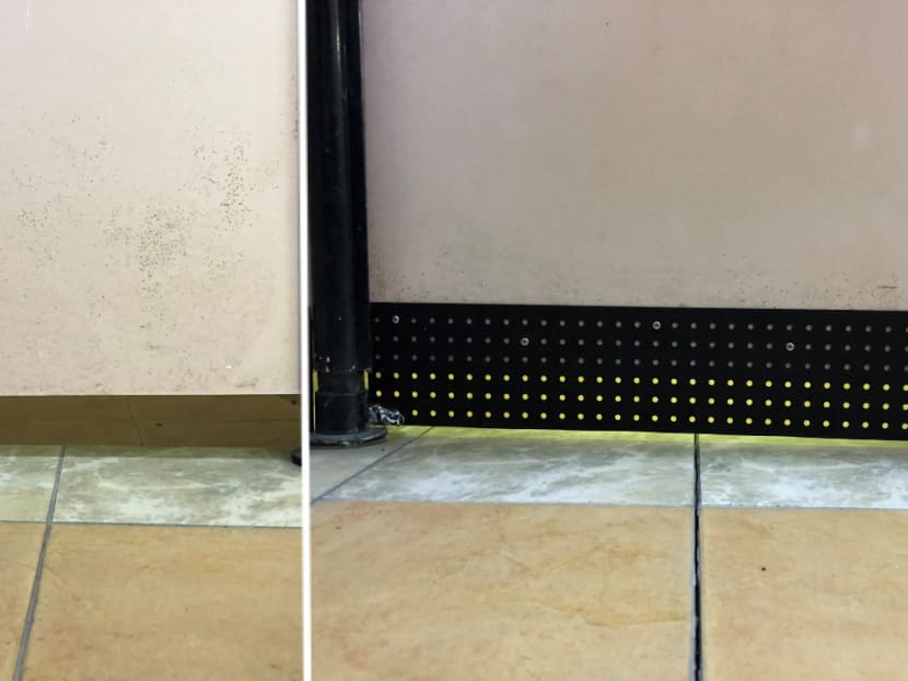 A shower cubicle at the National University of Singapore before (left) and after the upgrade. A shower cubicle at the National University of Singapore before (left) and after the upgrade.