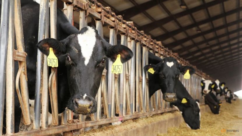 Investor group warns livestock industry needs to do more on methane Investor group warns livestock industry needs to do more on methane
