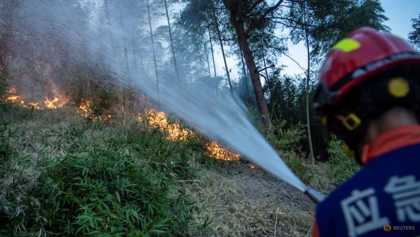 China's southwest battles forest fires as fears linger over harvest