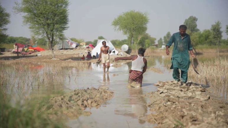 Insight 2022/2023 - S1E32: The Crisis After Pakistan’s Floods