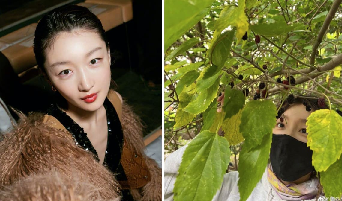 Chinese Actress Zhou Dongyu Called "Inconsiderate" For Plucking Mulberries In Beijing Park