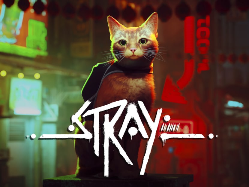 Stray: How a virtual orange tabby is helping real cats