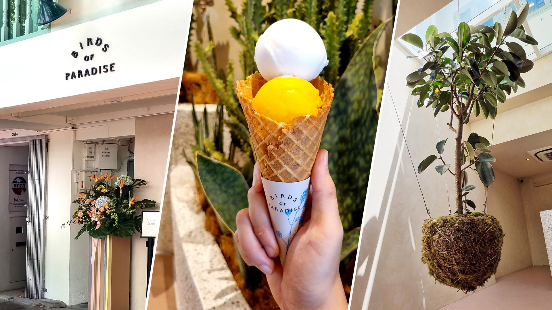Birds Of Paradise Gelato’s New Beach Rd Outlet Looks Like A Mini Art Gallery Birds Of Paradise Gelato’s New Beach Rd Outlet Looks Like A Mini Art Gallery