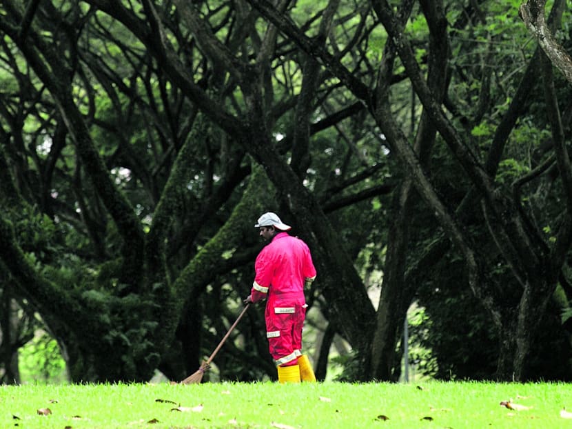 Green spaces like the Pasir Ris green belt (picture) and the Punggol knoll should be conserved. TODAY file photo
