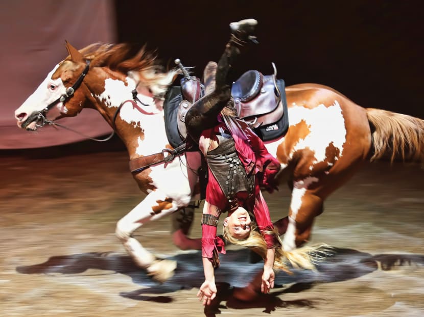 Equestrian ballet