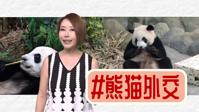【多懂一点】熊猫外交仅此一家 别无分号