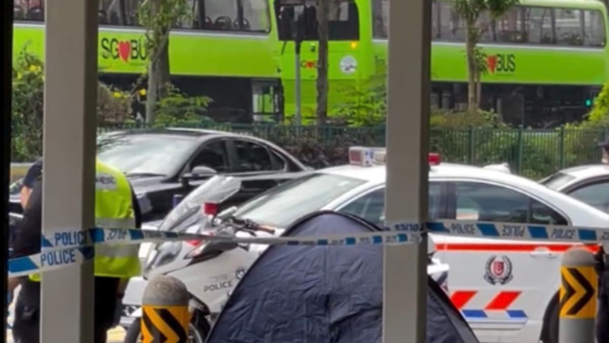 Female motorcyclist dies after skidding at bus stop along Jurong Gateway Road