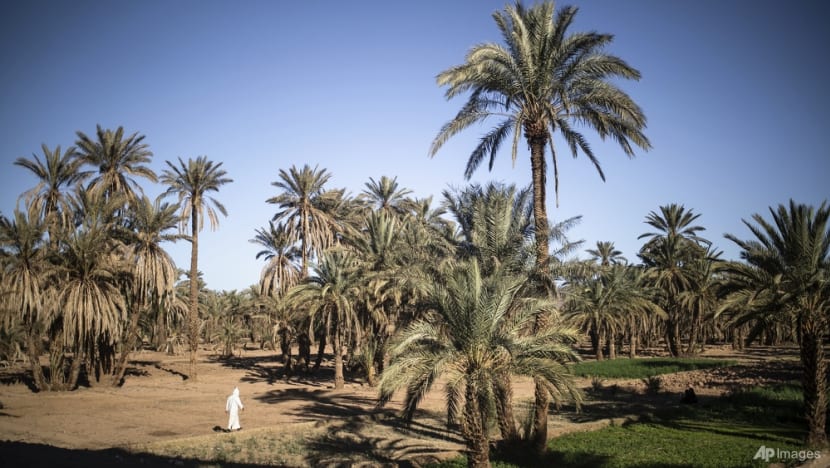 Climate change threatens centuries-old oases in Morocco Climate change threatens centuries-old oases in Morocco