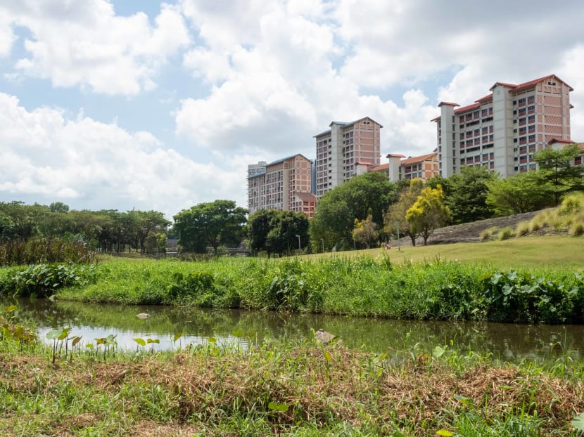 The carbon tax hike will lead to an increase of about S$4 per month in utility bills for an average household living in a four-room Housing and Development Board flat.